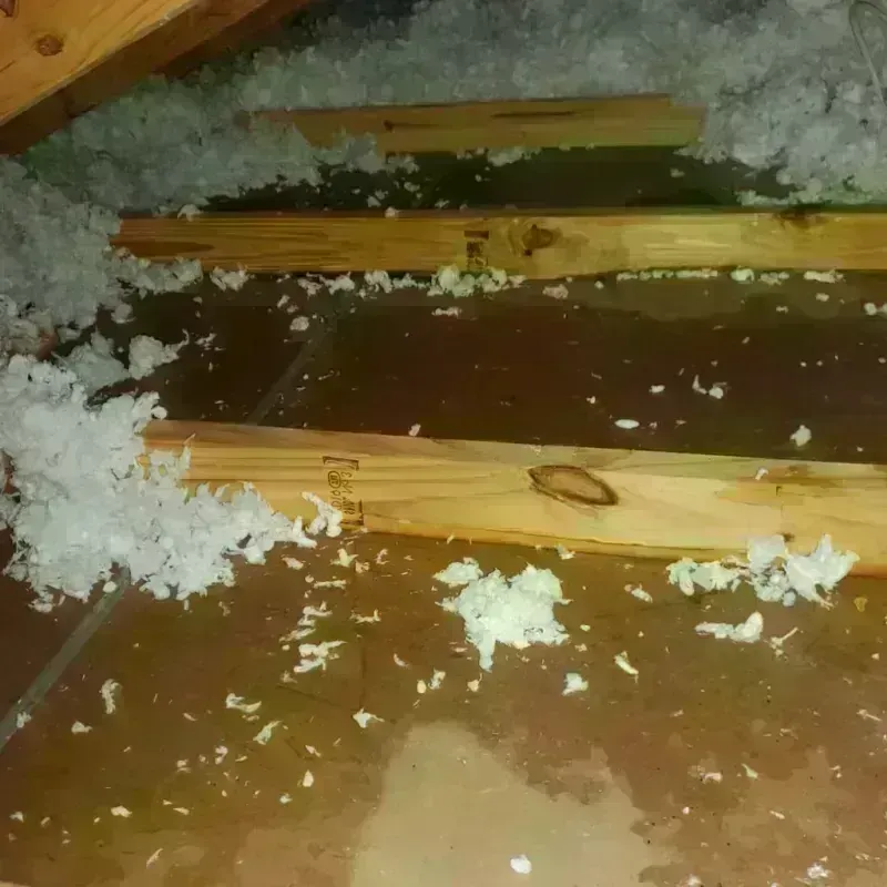 Attic Water Damage in Shreve, OH