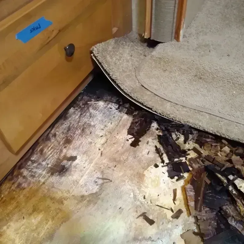 Best Wood Floor Water Damage Service in Shreve, OH